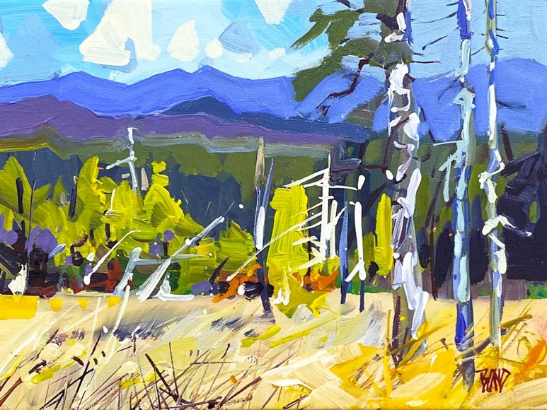 Image of art work &ldquo;Redstreak Grasslands&rdquo;