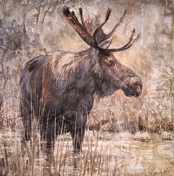 Image of art work “Algonquin Moose (2 of 25)”