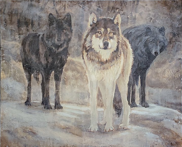 Image of art work “Three Wolves (2 of 25)”