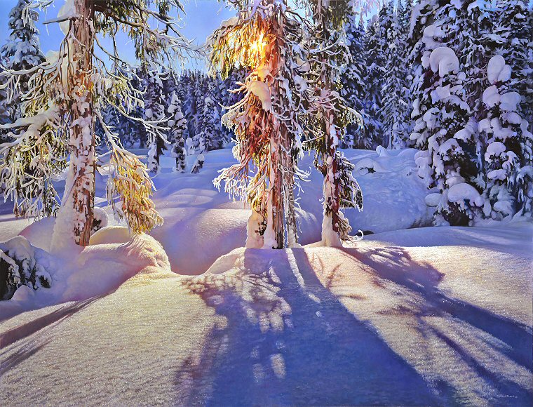 Image of art work “Winter Highlights”