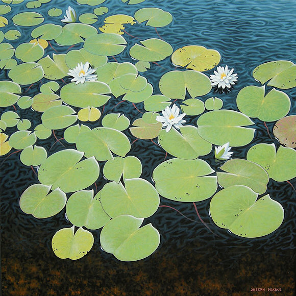 Image of art work &ldquo;August Water Lilies&rdquo;