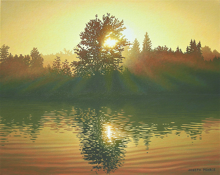 Image of art work &ldquo;Silver Maple - Golden Sun Study&rdquo;