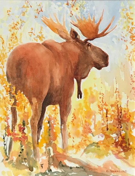 Image of art work “Majestic Moose”