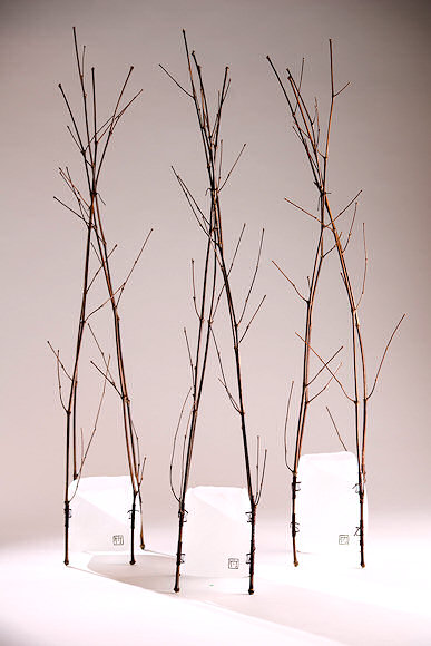 Image of art work “Bamboo Tealights”