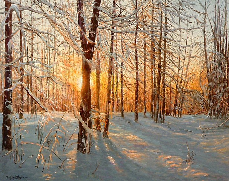 Image of art work “Shimmering Morning”